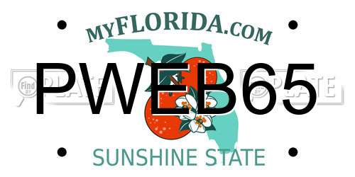 PWEB65 Florida License Plate