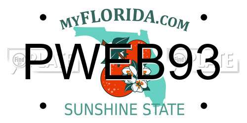 PWEB93 Florida License Plate