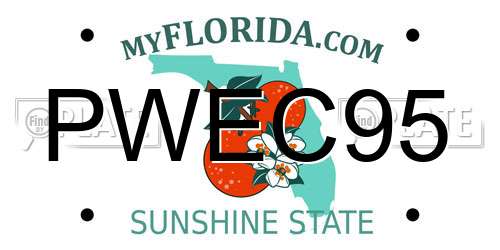 PWEC95 Florida License Plate