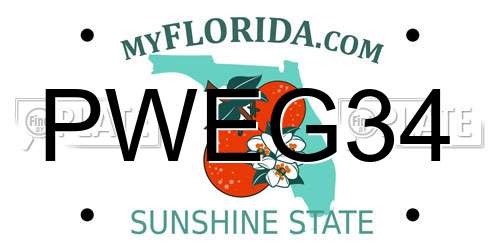 PWEG34 Florida License Plate