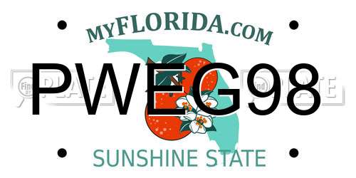 PWEG98 Florida License Plate