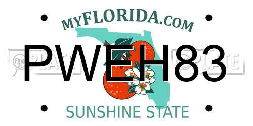PWEH83 Florida License Plate