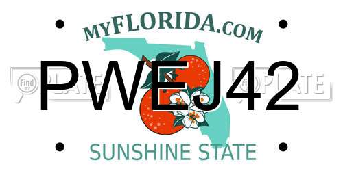 PWEJ42 Florida License Plate