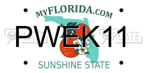 PWEK11 Florida License Plate