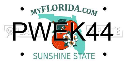 PWEK44 Florida License Plate