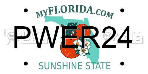 PWER24 Florida License Plate