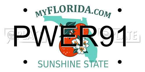 PWER91 Florida License Plate
