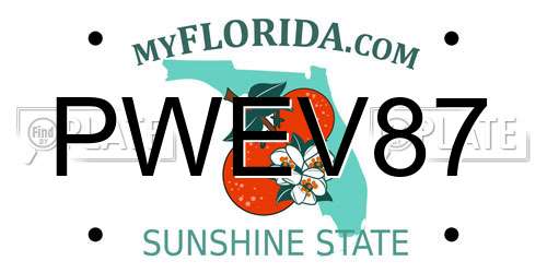 PWEV87 Florida License Plate