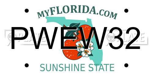 PWEW32 Florida License Plate