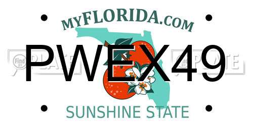 PWEX49 Florida License Plate