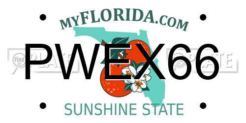 PWEX66 Florida License Plate