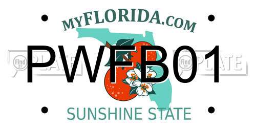PWFB01 Florida License Plate