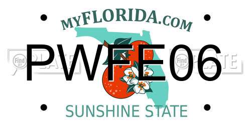 PWFE06 Florida License Plate