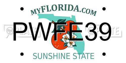 PWFE39 Florida License Plate