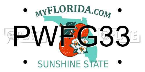 PWFG33 Florida License Plate