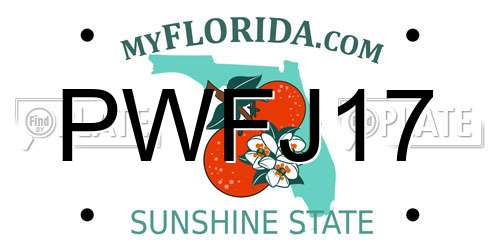 PWFJ17 Florida License Plate