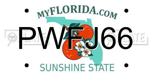 PWFJ66 Florida License Plate