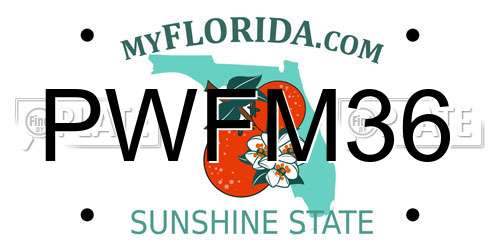 PWFM36 Florida License Plate