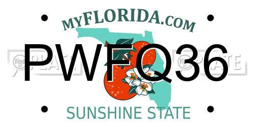 PWFQ36 Florida License Plate