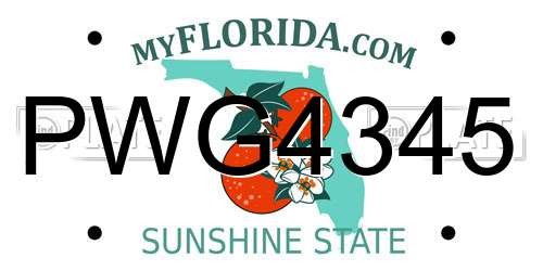 PWG4345 Florida License Plate