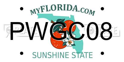 PWGC08 Florida License Plate