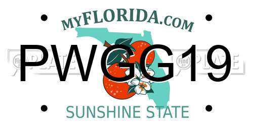 PWGG19 Florida License Plate