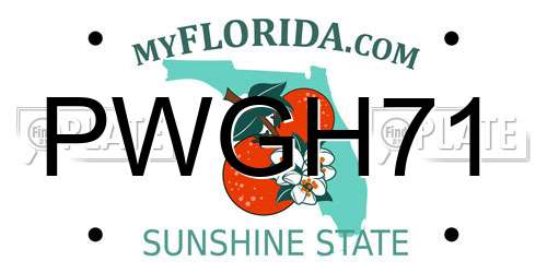 PWGH71 Florida License Plate