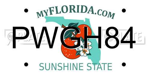 PWGH84 Florida License Plate