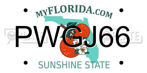 PWGJ66 Florida License Plate