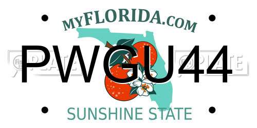 PWGU44 Florida License Plate