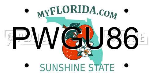 PWGU86 Florida License Plate