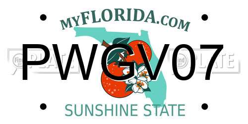 PWGV07 Florida License Plate