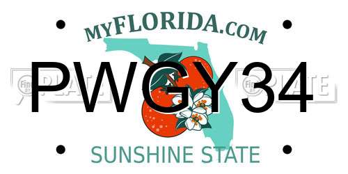 PWGY34 Florida License Plate
