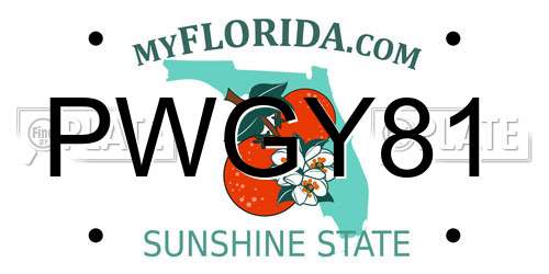 PWGY81 Florida License Plate