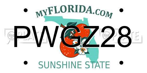 PWGZ28 Florida License Plate