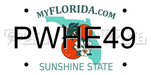 PWHE49 Florida License Plate
