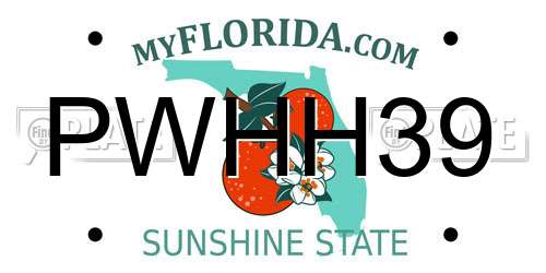 PWHH39 Florida License Plate
