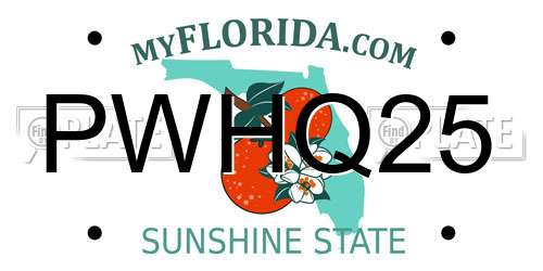 PWHQ25 Florida License Plate
