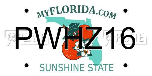 PWHZ16 Florida License Plate