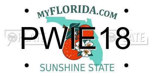 PWIE18 Florida License Plate