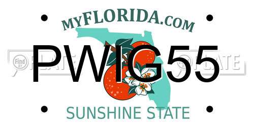 PWIG55 Florida License Plate