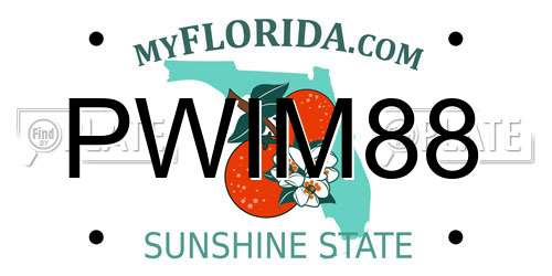PWIM88 Florida License Plate