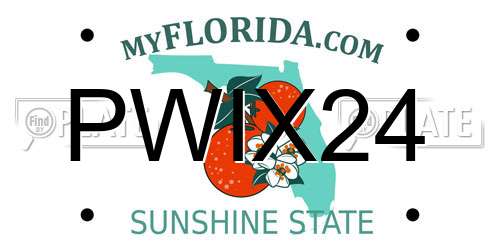 PWIX24 Florida License Plate