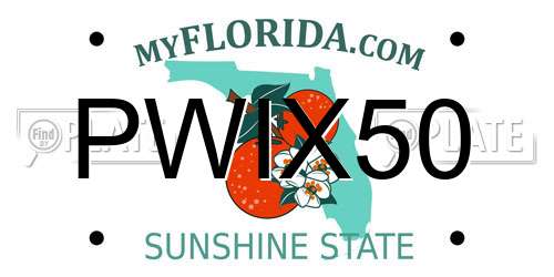 PWIX50 Florida License Plate