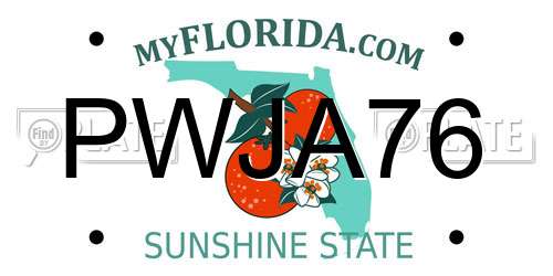 PWJA76 Florida License Plate