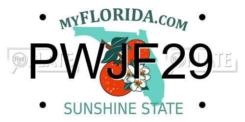 PWJF29 Florida License Plate