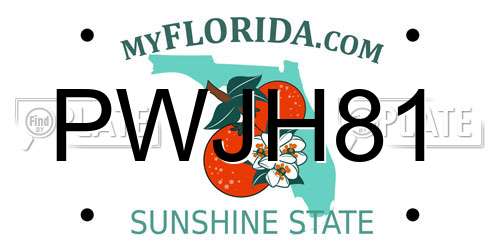 PWJH81 Florida License Plate