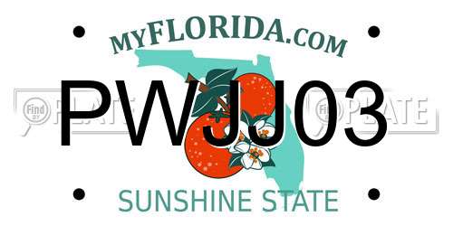 PWJJ03 Florida License Plate
