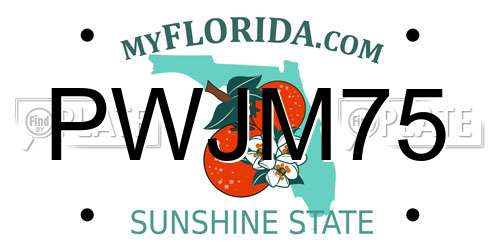 PWJM75 Florida License Plate