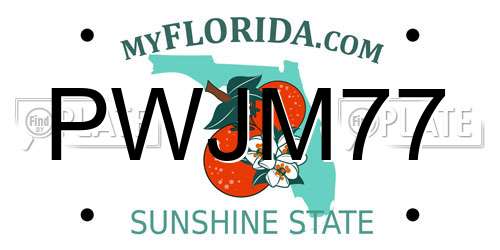 PWJM77 Florida License Plate